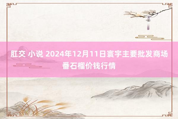 肛交 小说 2024年12月11日寰宇主要批发商场番石榴价钱行情