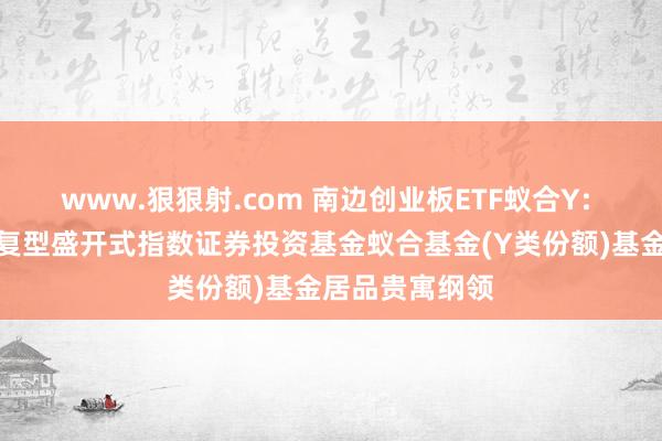 www.狠狠射.com 南边创业板ETF蚁合Y: 南边创业板往复型盛开式指数证券投资基金蚁合基金(Y类份额)基金居品贵寓纲领