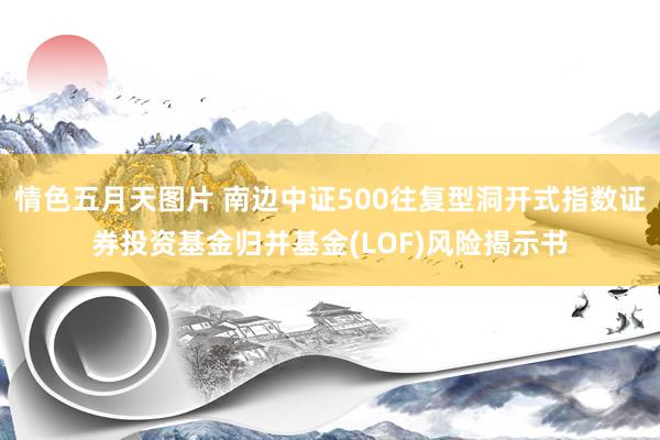 情色五月天图片 南边中证500往复型洞开式指数证券投资基金归并基金(LOF)风险揭示书