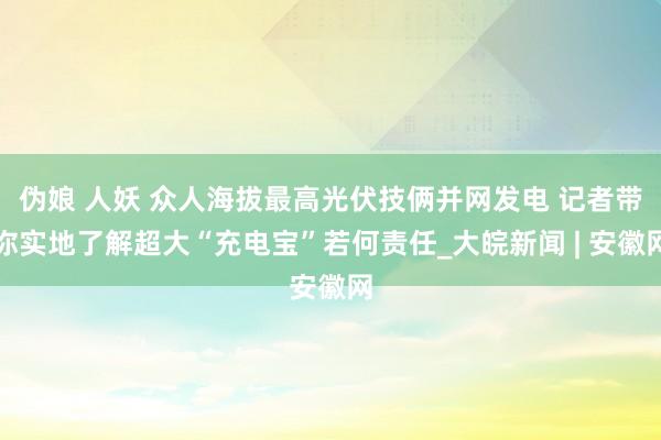 伪娘 人妖 众人海拔最高光伏技俩并网发电 记者带你实地了解超大“充电宝”若何责任_大皖新闻 | 安徽网