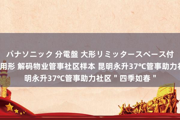 パナソニック 分電盤 大形リミッタースペース付 露出・半埋込両用形 解码物业管事社区样本 昆明永升37℃管事助力社区＂四季如春＂