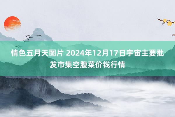 情色五月天图片 2024年12月17日宇宙主要批发市集空腹菜价钱行情