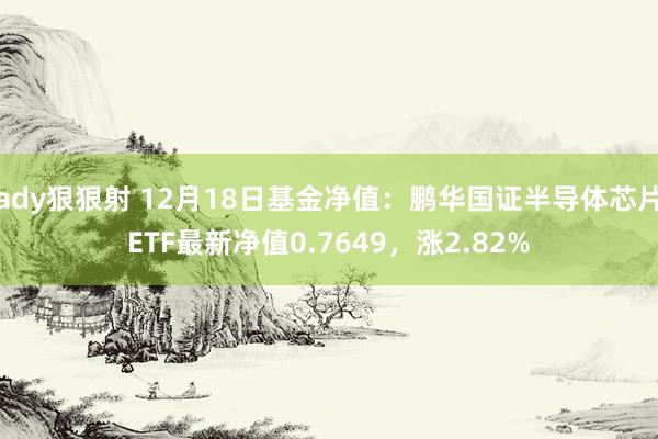 ady狠狠射 12月18日基金净值：鹏华国证半导体芯片ETF最新净值0.7649，涨2.82%