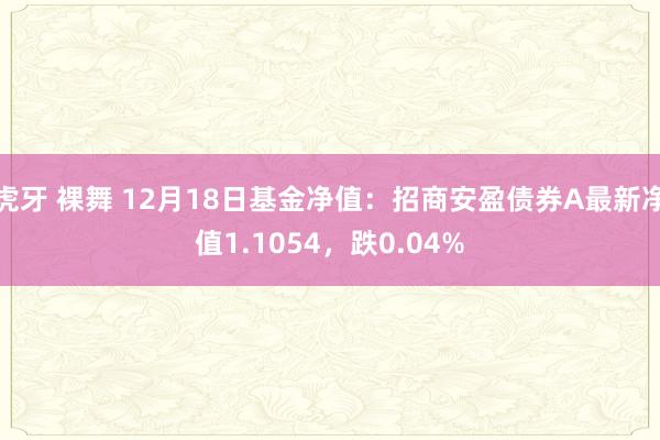 虎牙 裸舞 12月18日基金净值：招商安盈债券A最新净值1.1054，跌0.04%