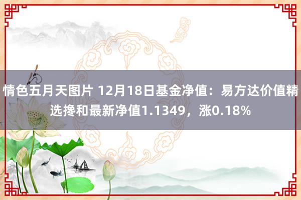 情色五月天图片 12月18日基金净值：易方达价值精选搀和最新净值1.1349，涨0.18%