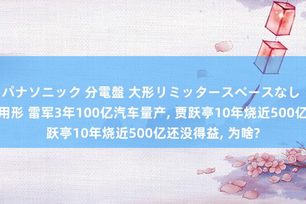 パナソニック 分電盤 大形リミッタースペースなし 露出・半埋込両用形 雷军3年100亿汽车量产， 贾跃亭10年烧近500亿还没得益， 为啥?