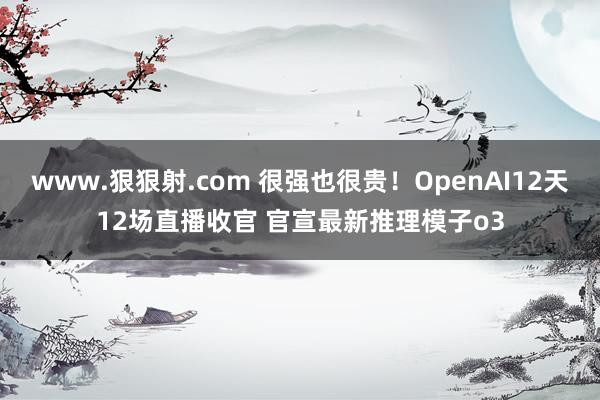 www.狠狠射.com 很强也很贵！OpenAI12天12场直播收官 官宣最新推理模子o3