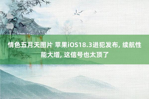 情色五月天图片 苹果iOS18.3进犯发布， 续航性能大增， 这信号也太顶了