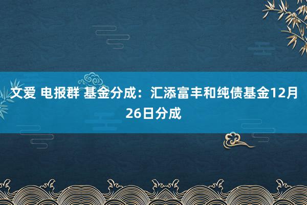 文爱 电报群 基金分成：汇添富丰和纯债基金12月26日分成