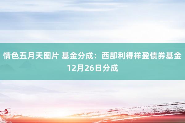 情色五月天图片 基金分成：西部利得祥盈债券基金12月26日分成