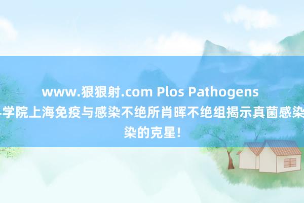 www.狠狠射.com Plos Pathogens | 中国科学院上海免疫与感染不绝所肖晖不绝组揭示真菌感染的克星!