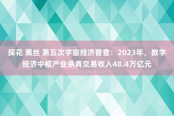 探花 黑丝 第五次宇宙经济普查：2023年，数字经济中枢产业杀青交易收入48.4万亿元