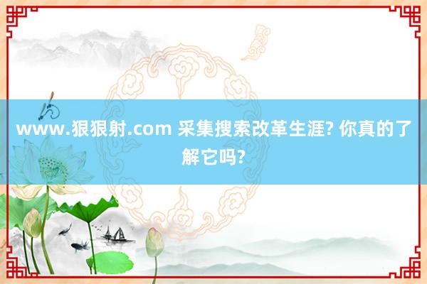 www.狠狠射.com 采集搜索改革生涯? 你真的了解它吗?