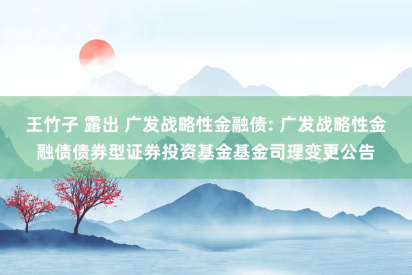 王竹子 露出 广发战略性金融债: 广发战略性金融债债券型证券投资基金基金司理变更公告