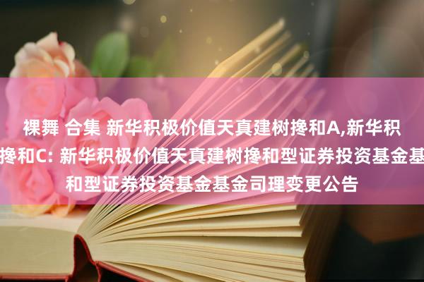 裸舞 合集 新华积极价值天真建树搀和A，新华积极价值天真建树搀和C: 新华积极价值天真建树搀和型证券投资基金基金司理变更公告