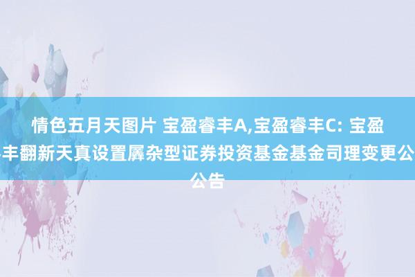 情色五月天图片 宝盈睿丰A，宝盈睿丰C: 宝盈睿丰翻新天真设置羼杂型证券投资基金基金司理变更公告