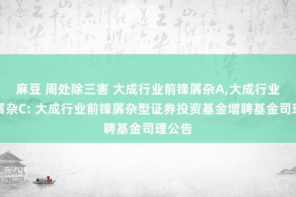 麻豆 周处除三害 大成行业前锋羼杂A，大成行业前锋羼杂C: 大成行业前锋羼杂型证券投资基金增聘基金司理公告