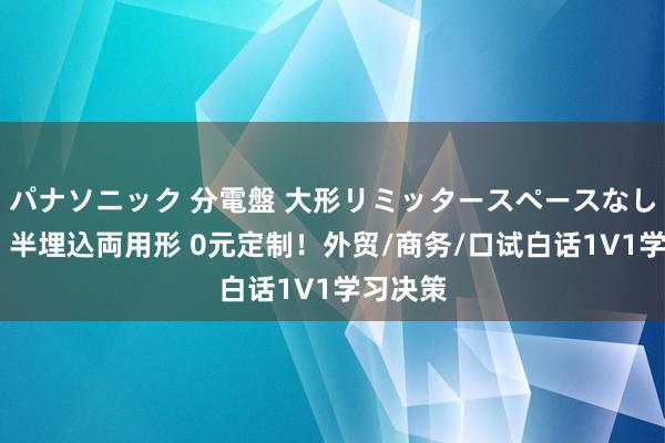 パナソニック 分電盤 大形リミッタースペースなし 露出・半埋込両用形 0元定制！外贸/商务/口试白话1V1学习决策