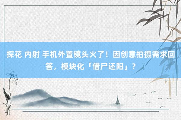 探花 内射 手机外置镜头火了！因创意拍摄需求回答，模块化「借尸还阳」？