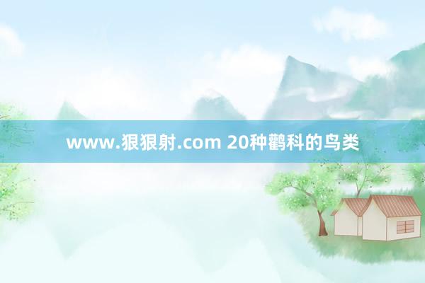 www.狠狠射.com 20种鹳科的鸟类