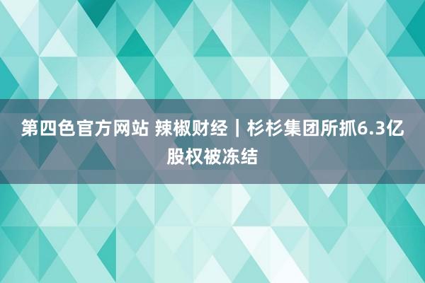 第四色官方网站 辣椒财经｜杉杉集团所抓6.3亿股权被冻结