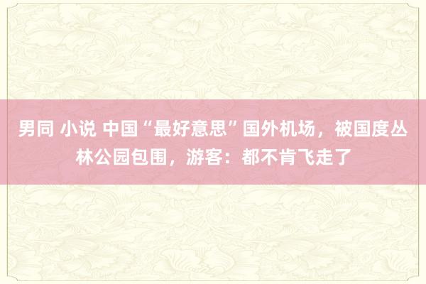 男同 小说 中国“最好意思”国外机场，被国度丛林公园包围，游客：都不肯飞走了