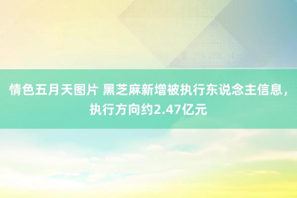 情色五月天图片 黑芝麻新增被执行东说念主信息，执行方向约2.47亿元