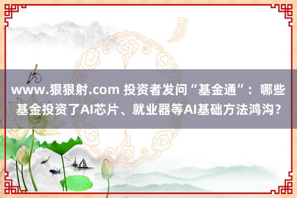 www.狠狠射.com 投资者发问“基金通”：哪些基金投资了AI芯片、就业器等AI基础方法鸿沟？