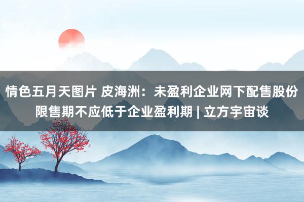 情色五月天图片 皮海洲：未盈利企业网下配售股份限售期不应低于企业盈利期 | 立方宇宙谈