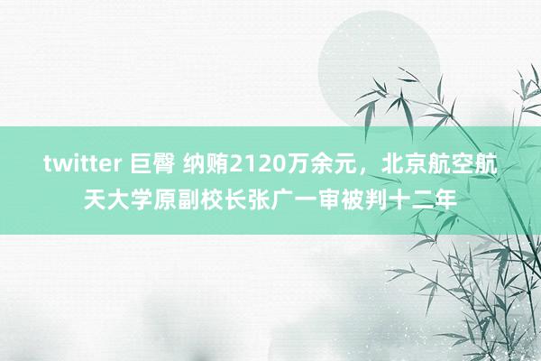 twitter 巨臀 纳贿2120万余元，北京航空航天大学原副校长张广一审被判十二年