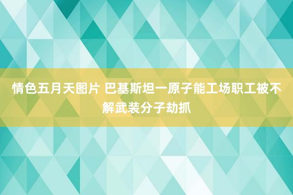 情色五月天图片 巴基斯坦一原子能工场职工被不解武装分子劫抓