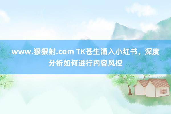 www.狠狠射.com TK苍生涌入小红书，深度分析如何进行内容风控