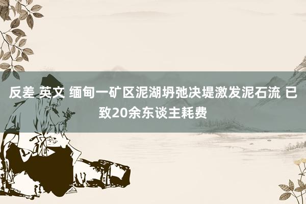 反差 英文 缅甸一矿区泥湖坍弛决堤激发泥石流 已致20余东谈主耗费