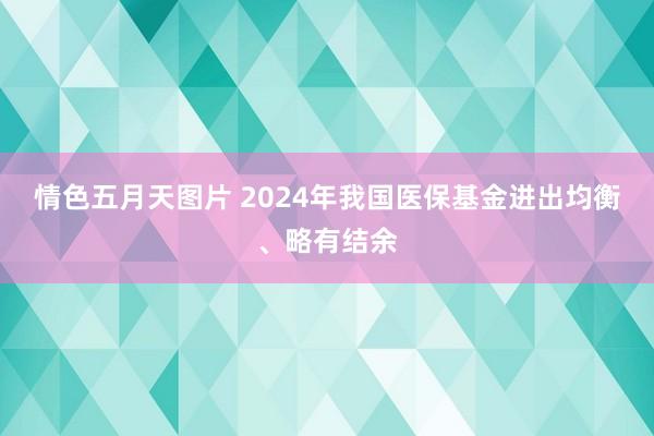 情色五月天图片 2024年我国医保基金进出均衡、略有结余